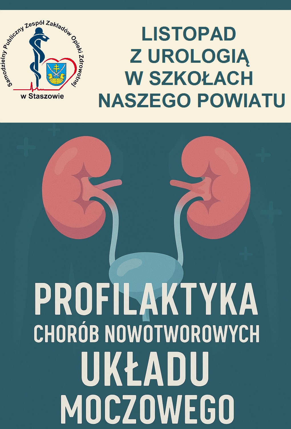 zobacz więcej zdjęć 